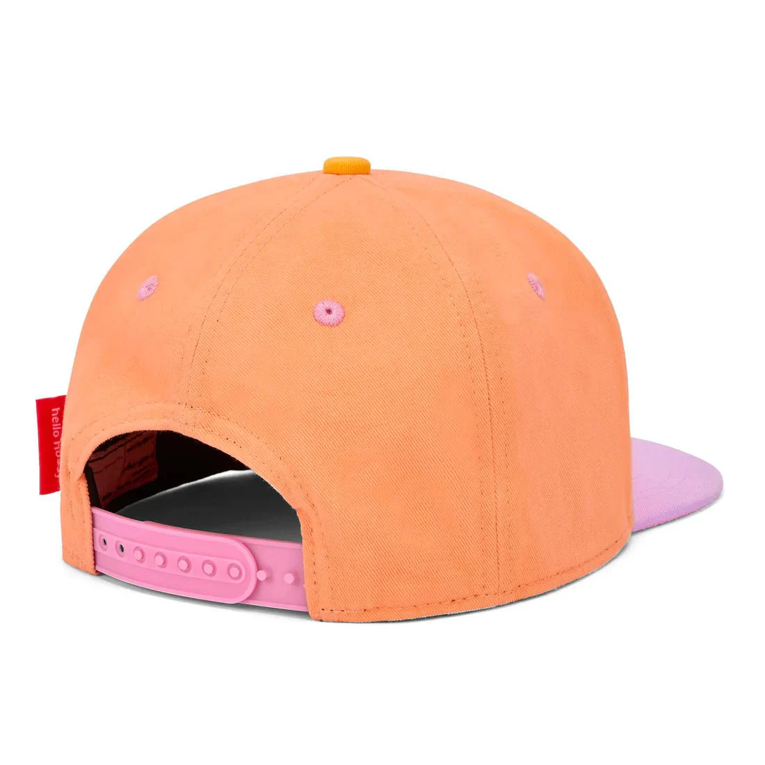 Pet Donuts - Image 3