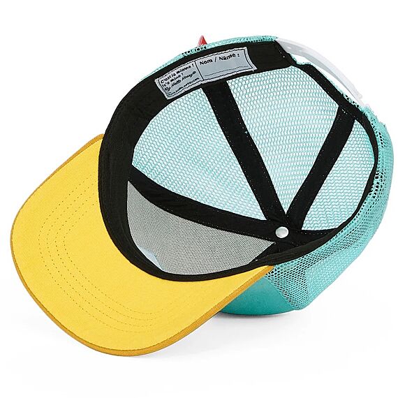 Pet Mini Agave Turquoise Jaune - Image 8
