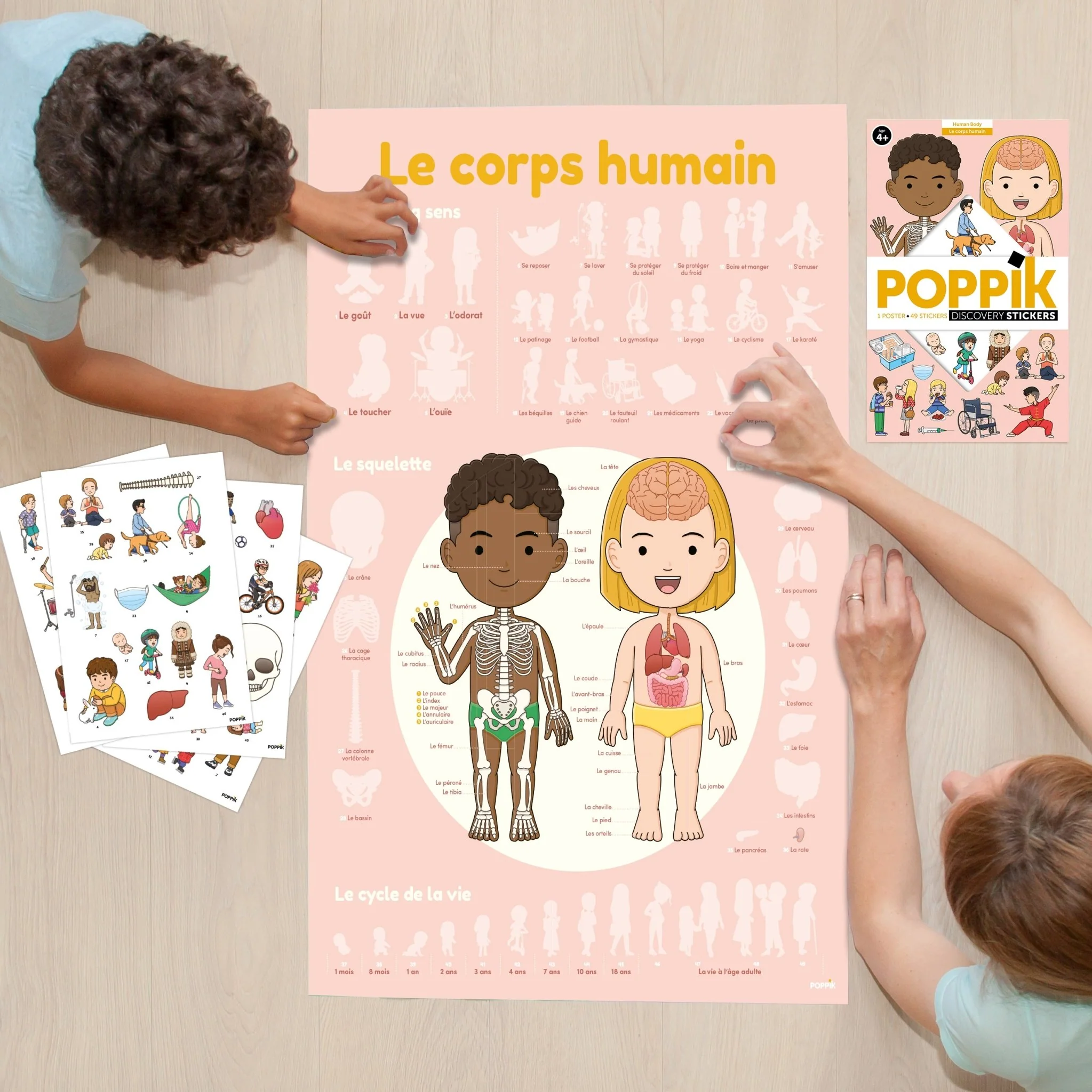 Educatieve XXL poster + 49 stickers Human Body - Image 5