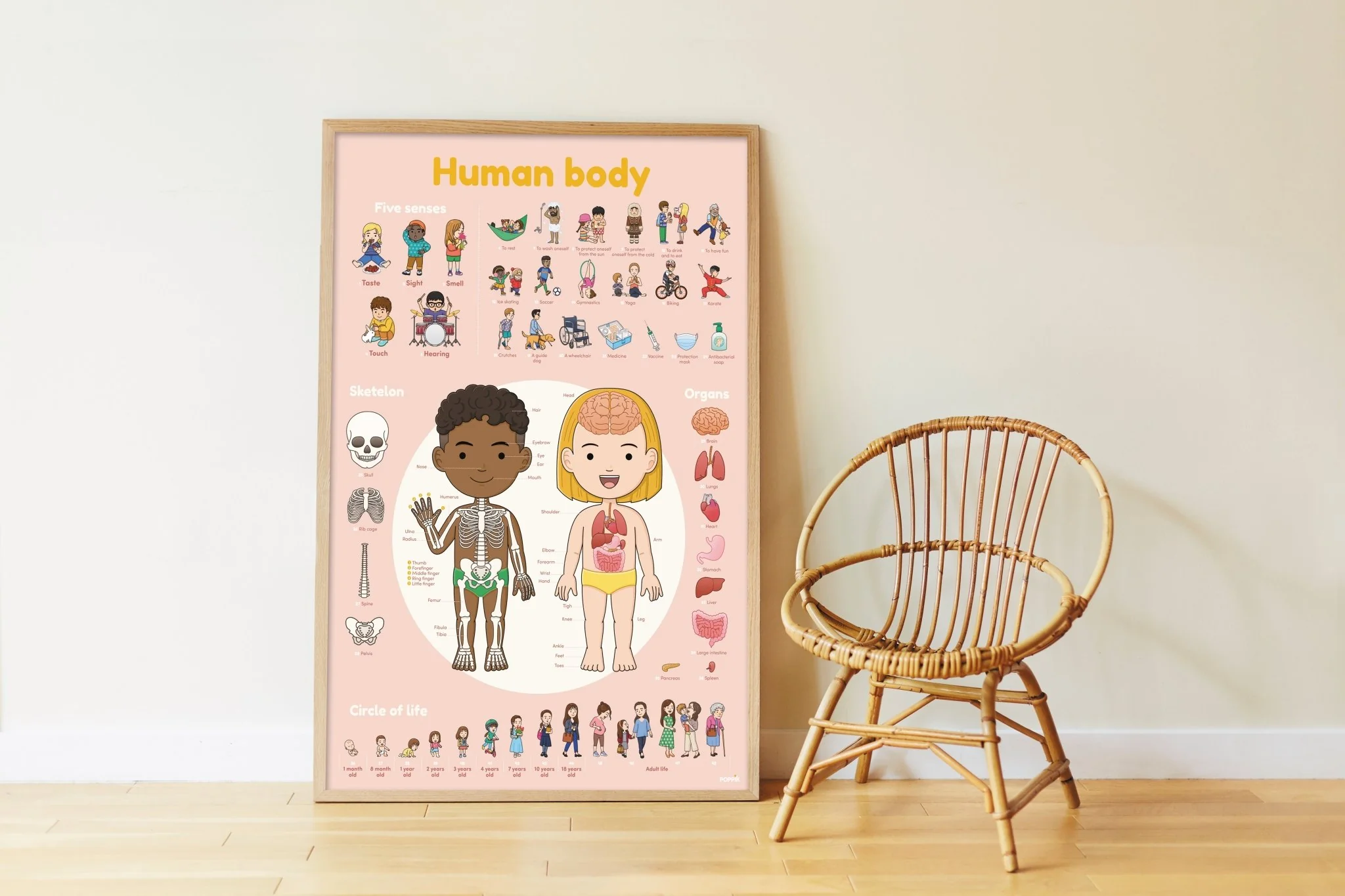 Educatieve XXL poster + 49 stickers Human Body - Image 6