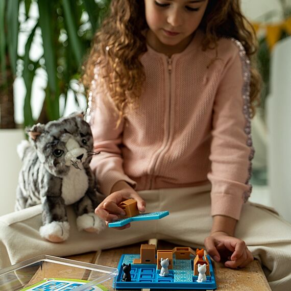 Puzzelspel Cats & Boxes - 60 Opdrachten - Image 6