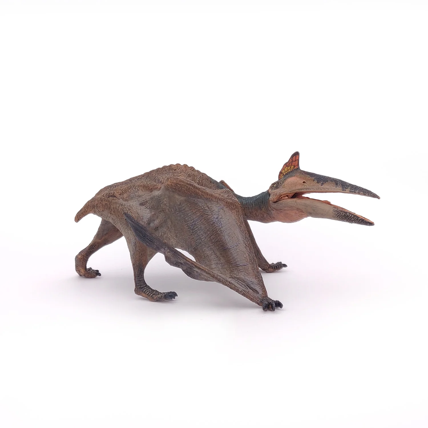 Quetzalcoaltus - Image 6