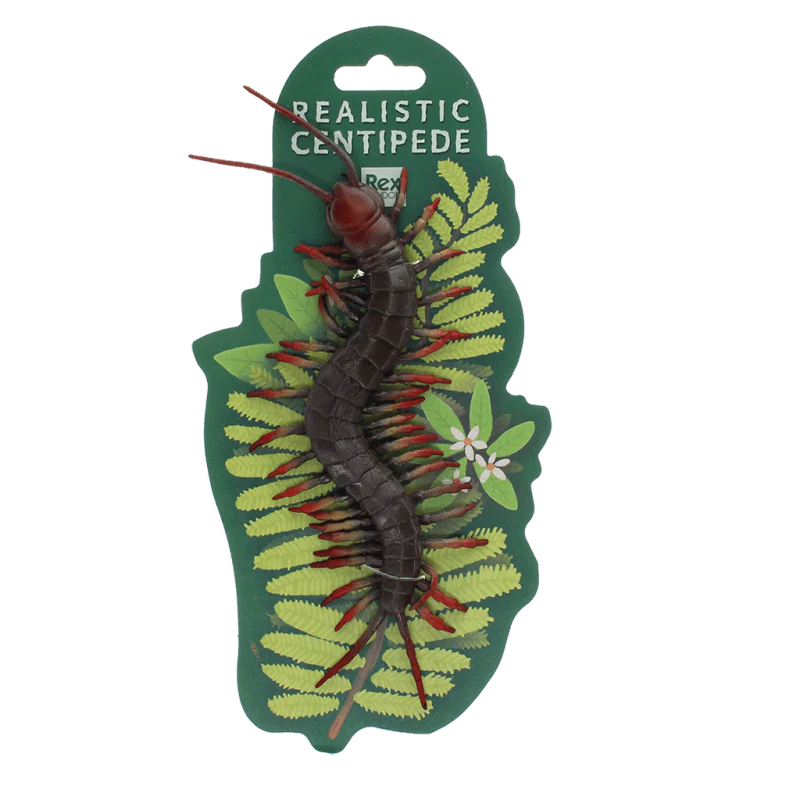 Realistic centipede toy