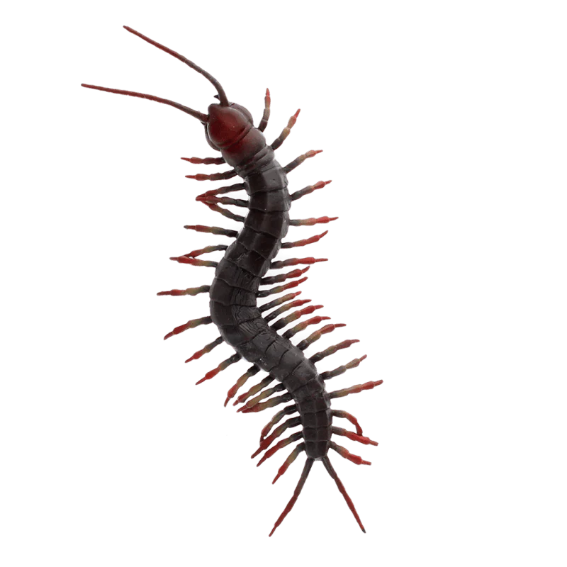 Realistic centipede toy - Image 3
