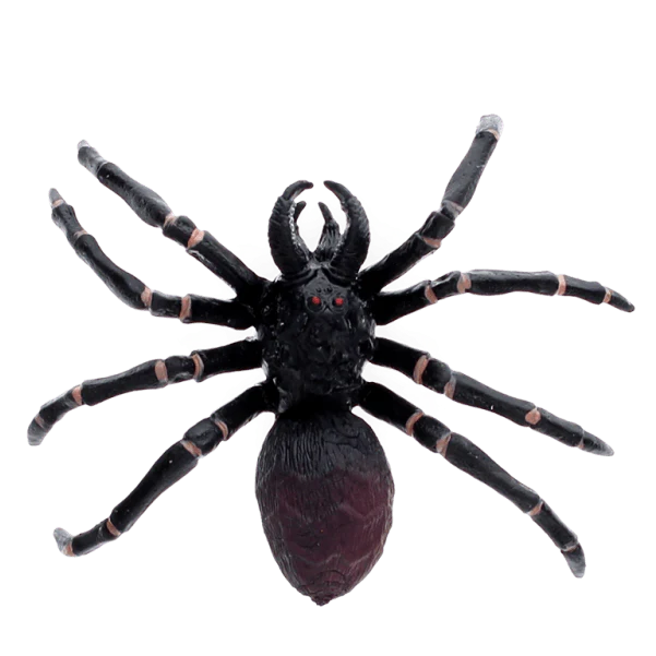 Spin Realistic Tarantula Toy - Image 3