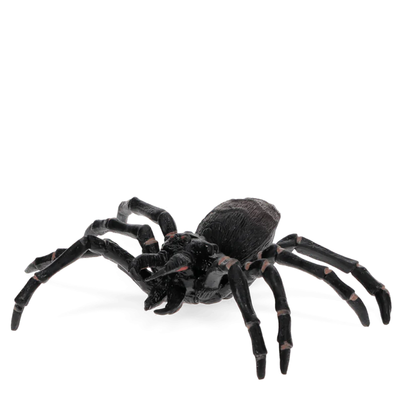 Spin Realistic Tarantula Toy - Image 4