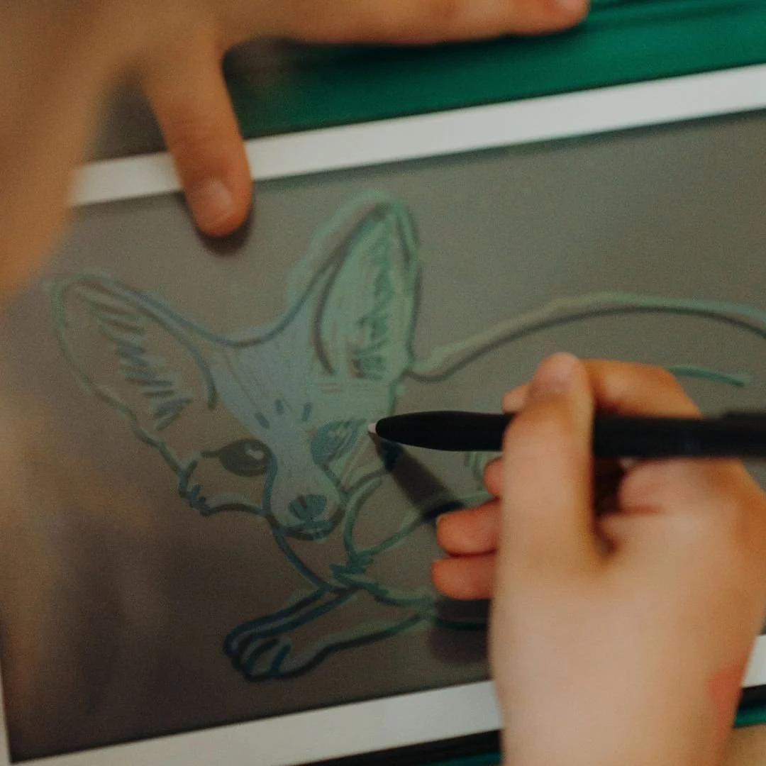 Refill Kidydraw Mini - Animals around the world & Oceans and Pirates - Image 11