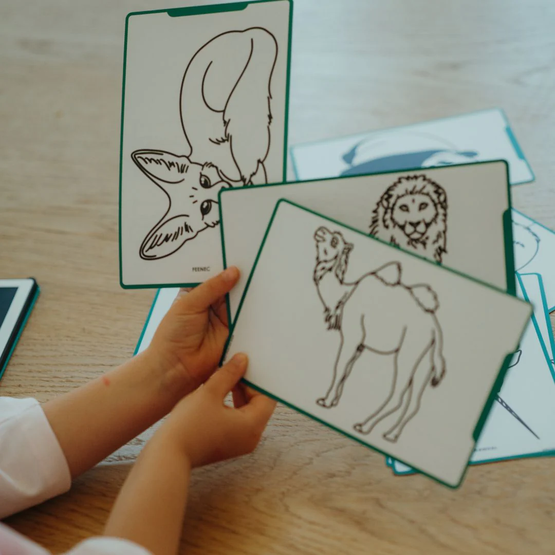 Refill Kidydraw Mini - Animals around the world & Oceans and Pirates - Image 3