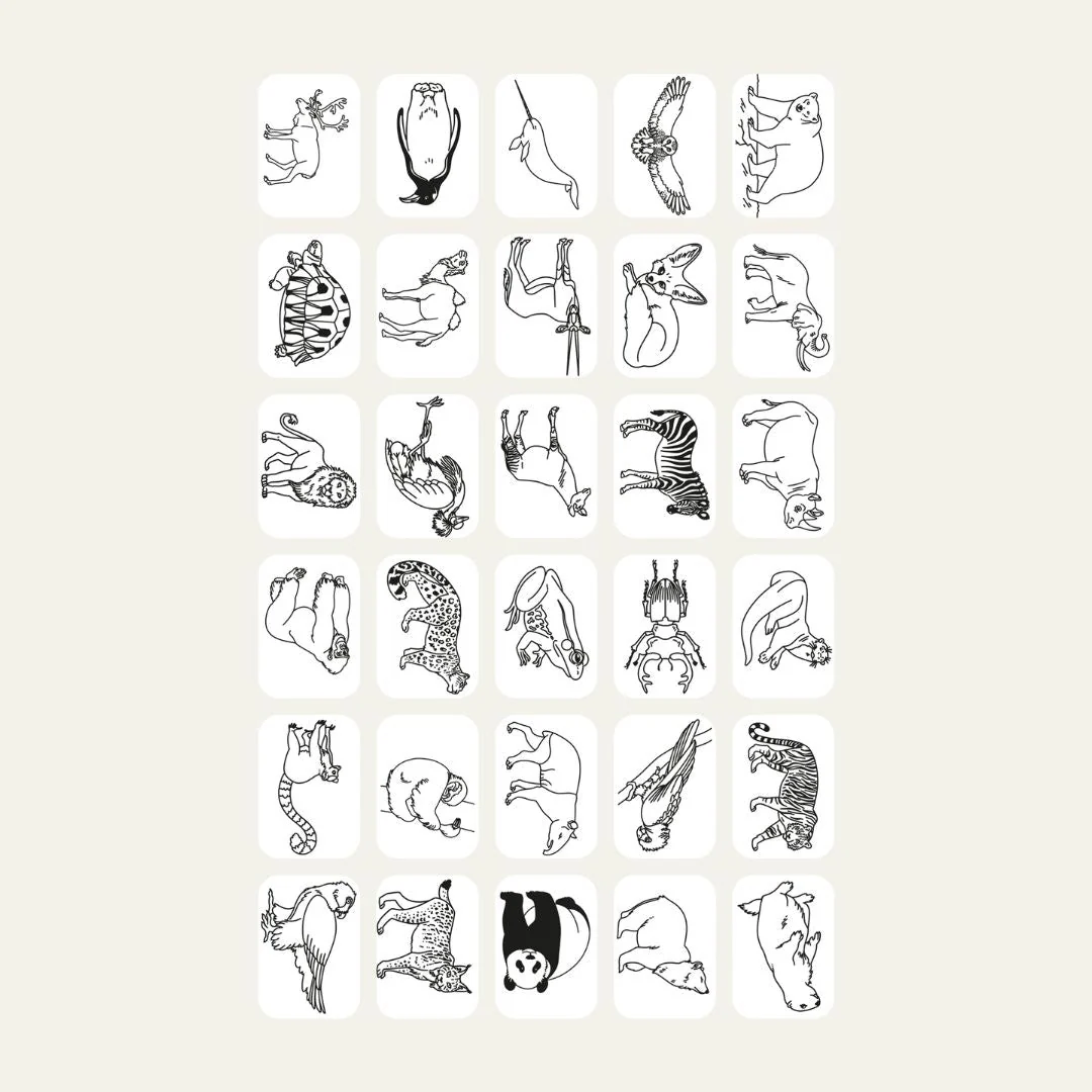 Refill Kidydraw Mini - Animals around the world & Oceans and Pirates - Image 6