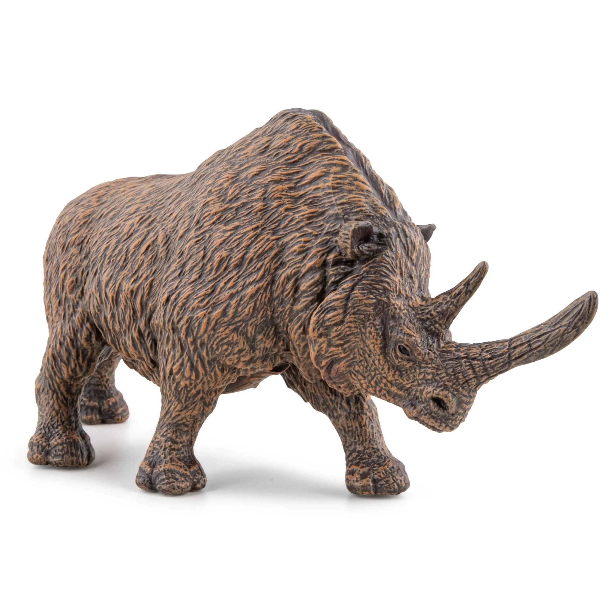 Wolharige neushoorn - Image 2