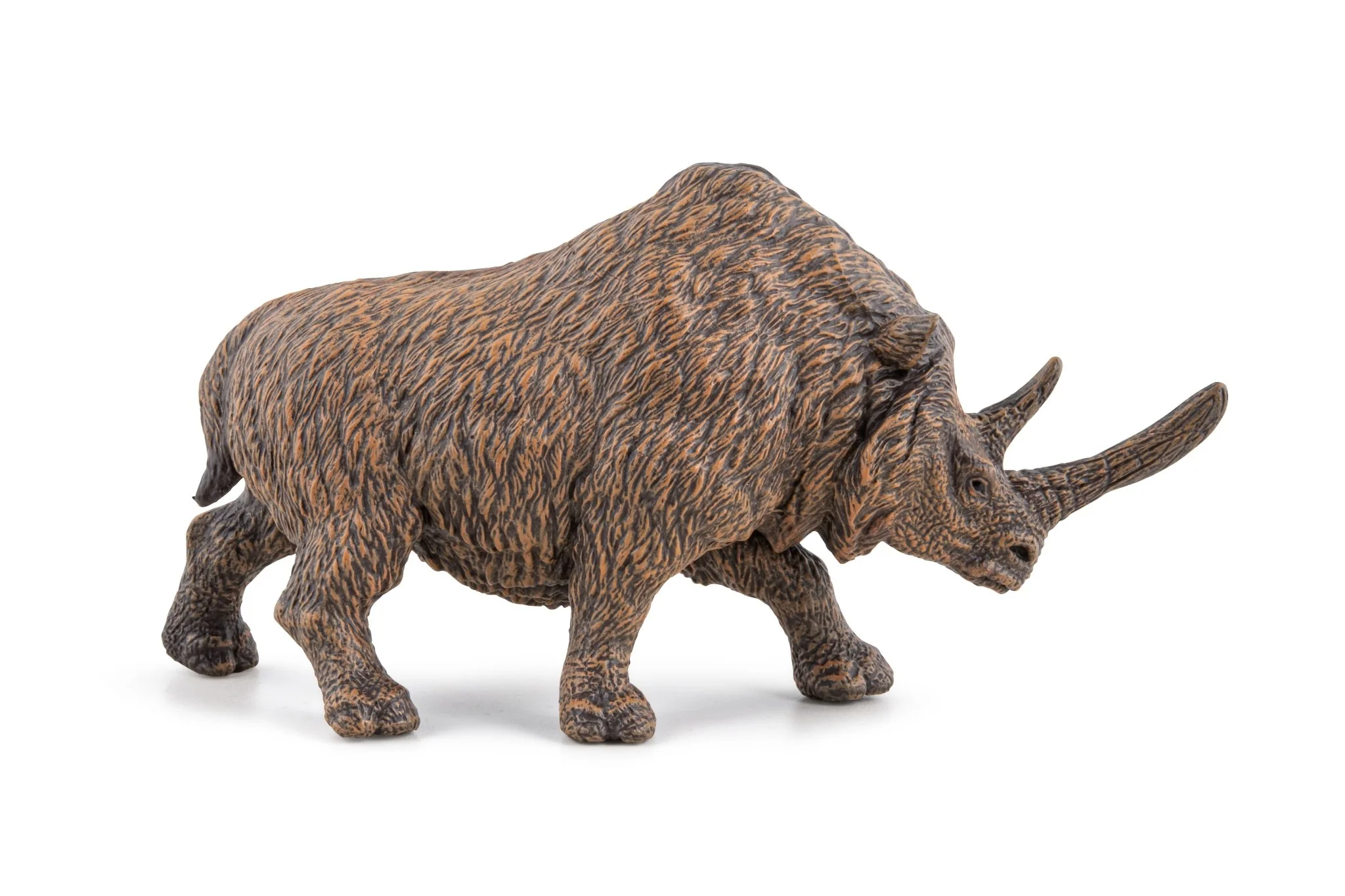 Wolharige neushoorn - Image 3