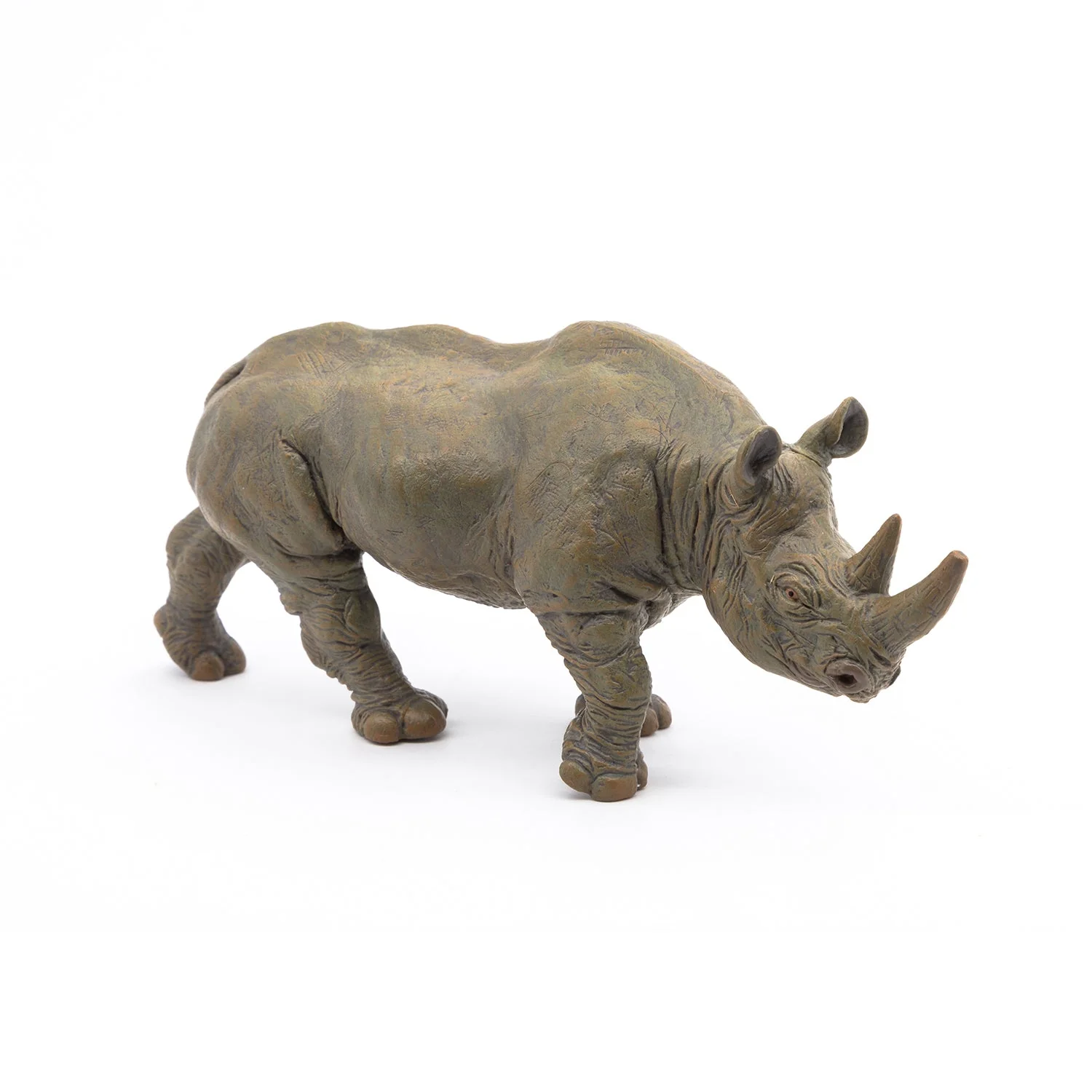 Zwarte neushoorn - Image 5