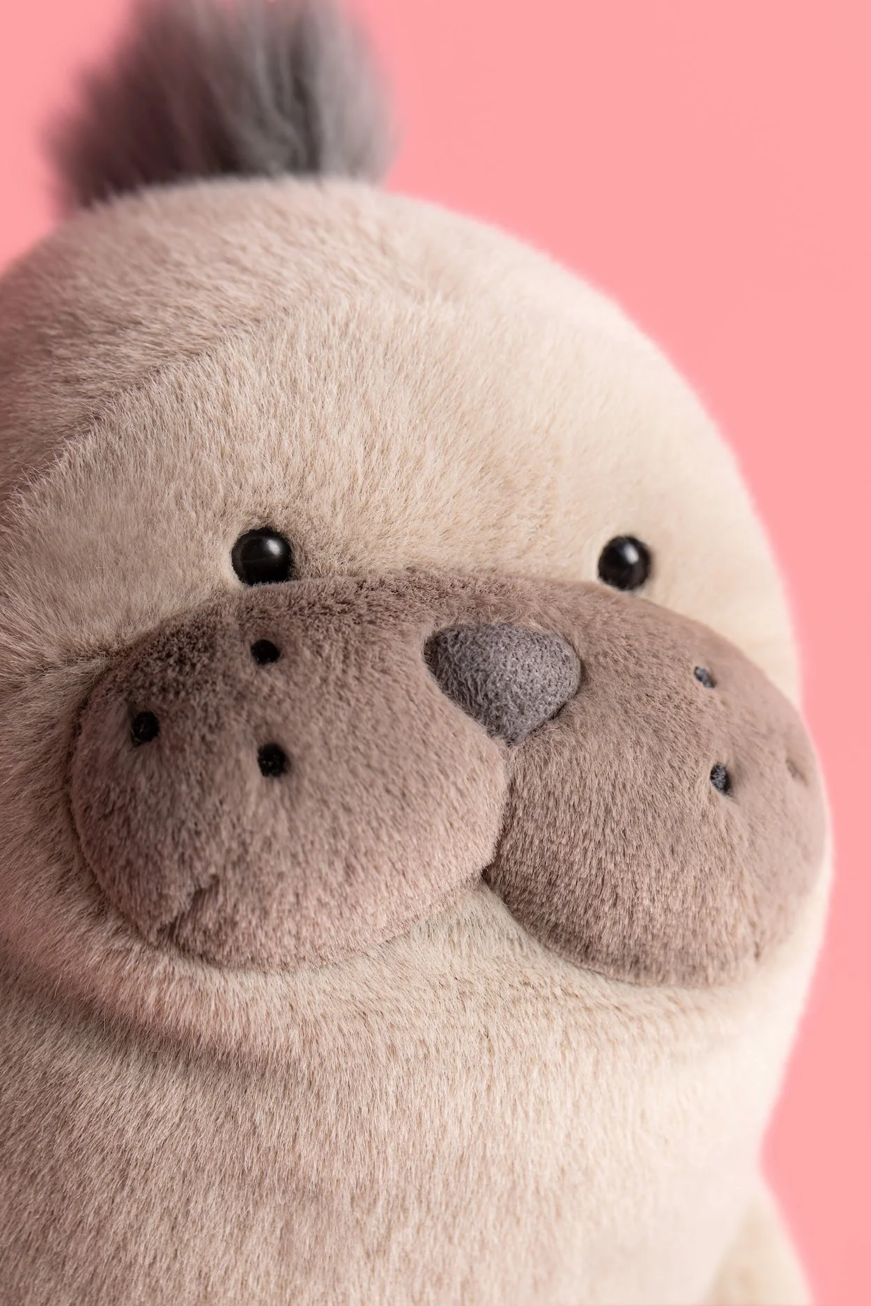 Knuffel Zeeleeuw Roarwell Sea Lion - 30 cm - Image 2