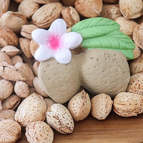 Rubberen Bijtspeeltje - Aly The Almond - Image 5