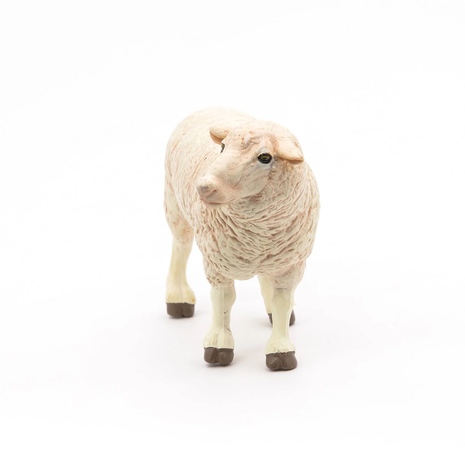 Schaap - Image 3