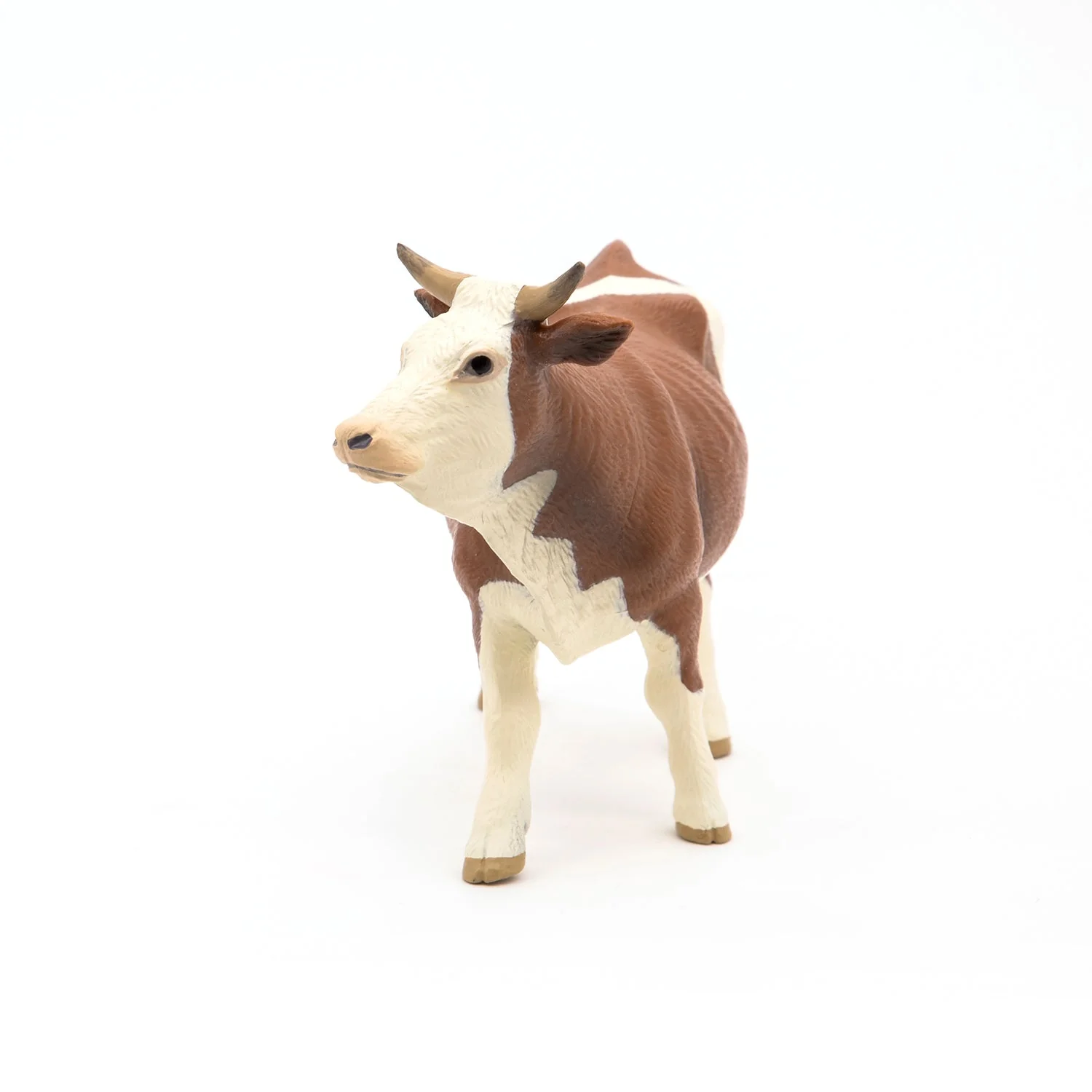 Simmental Koe - Image 4