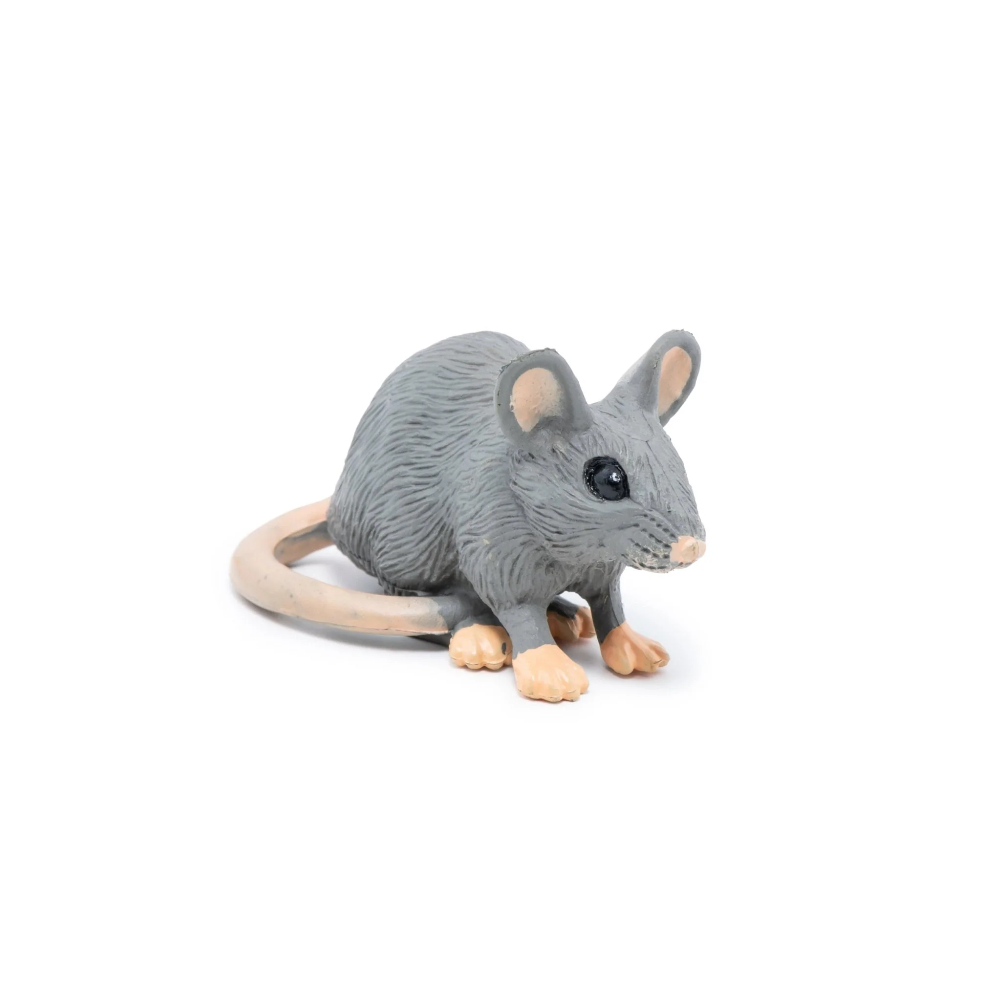 Grijze muis - Image 3