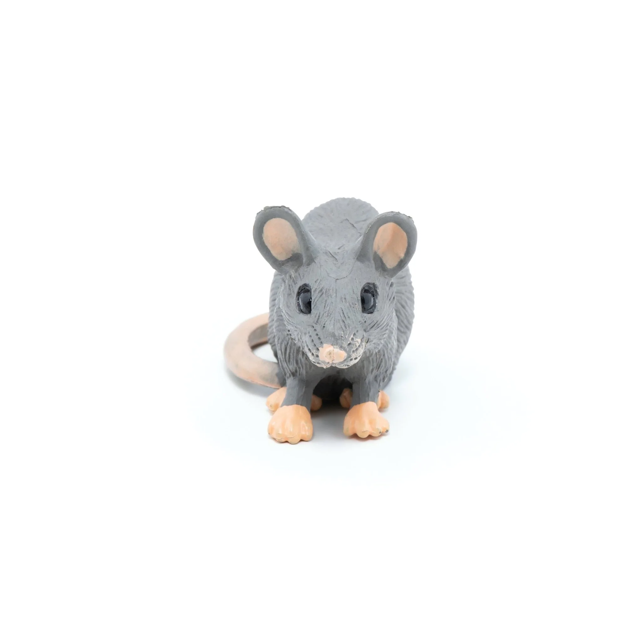 Grijze muis - Image 4