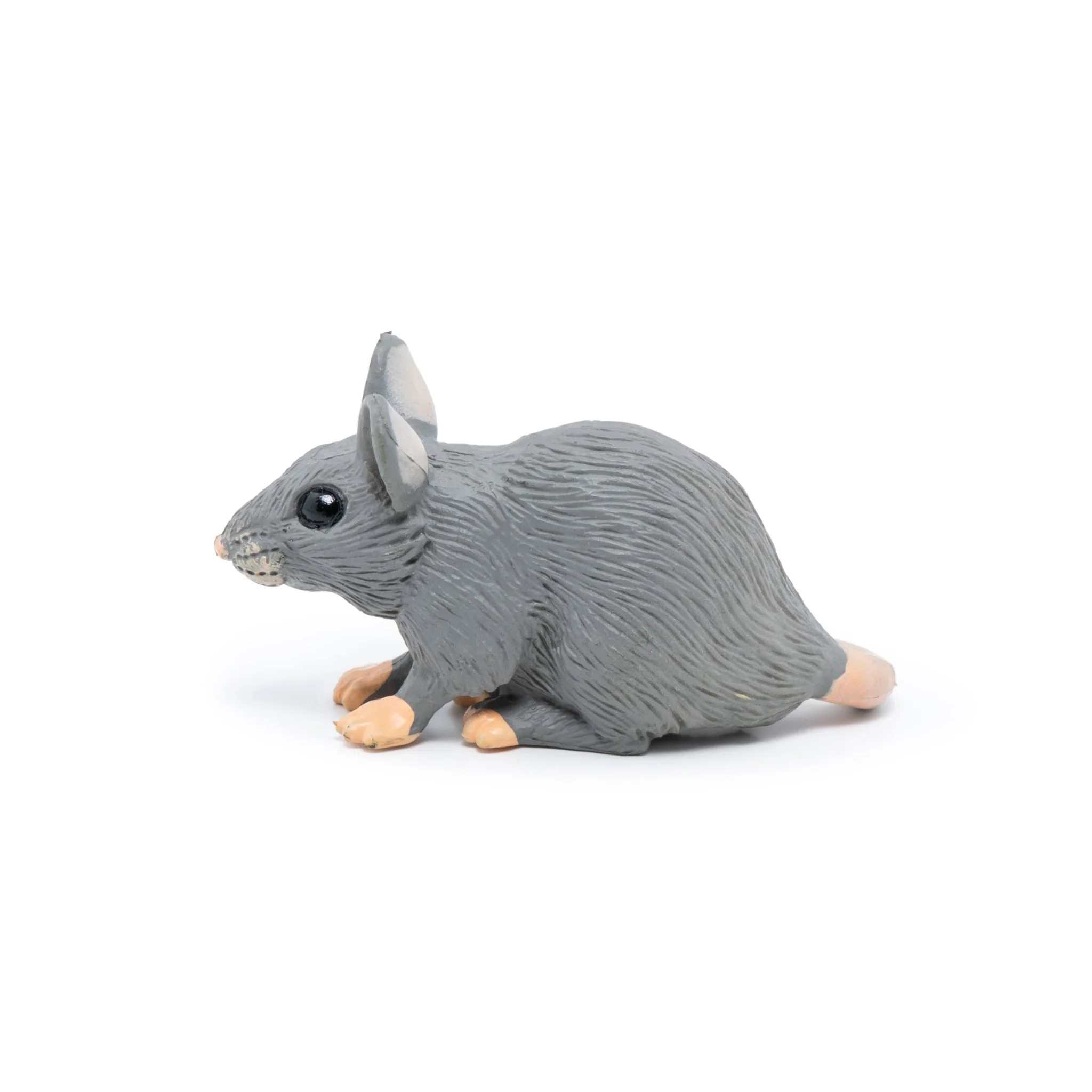Grijze muis - Image 6