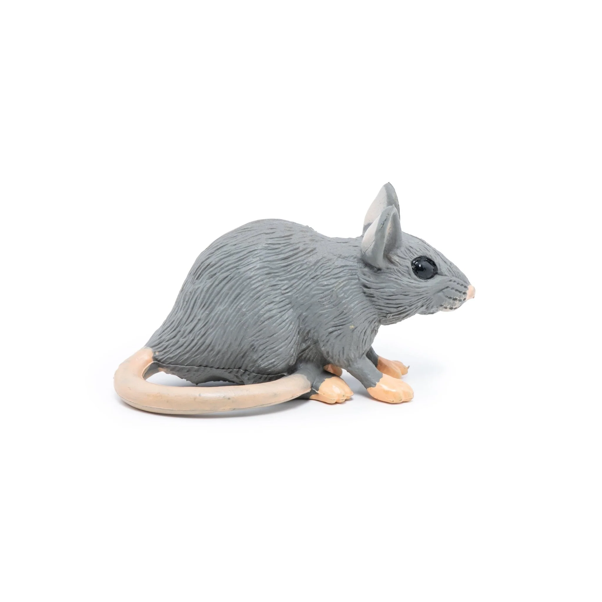 Grijze muis - Image 8
