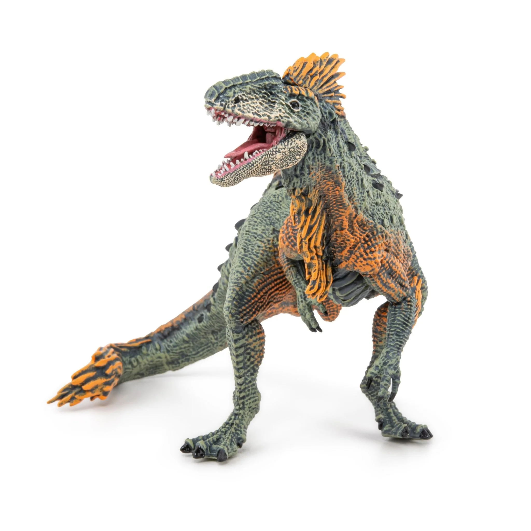 Concavenator - Image 3