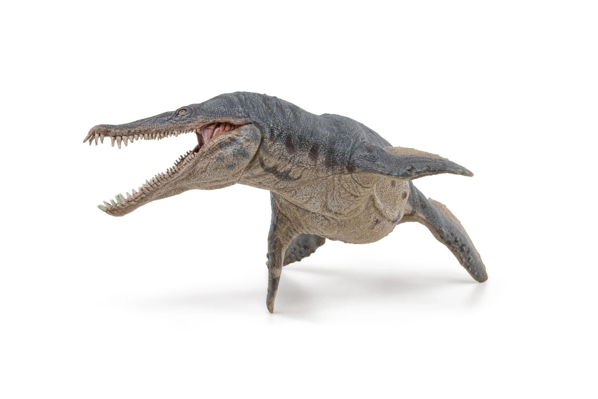 Kronosaurus - Image 3