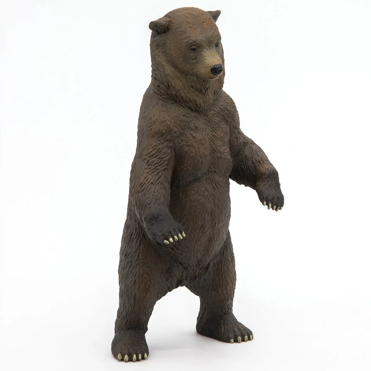 Grizzly Beer - Image 4