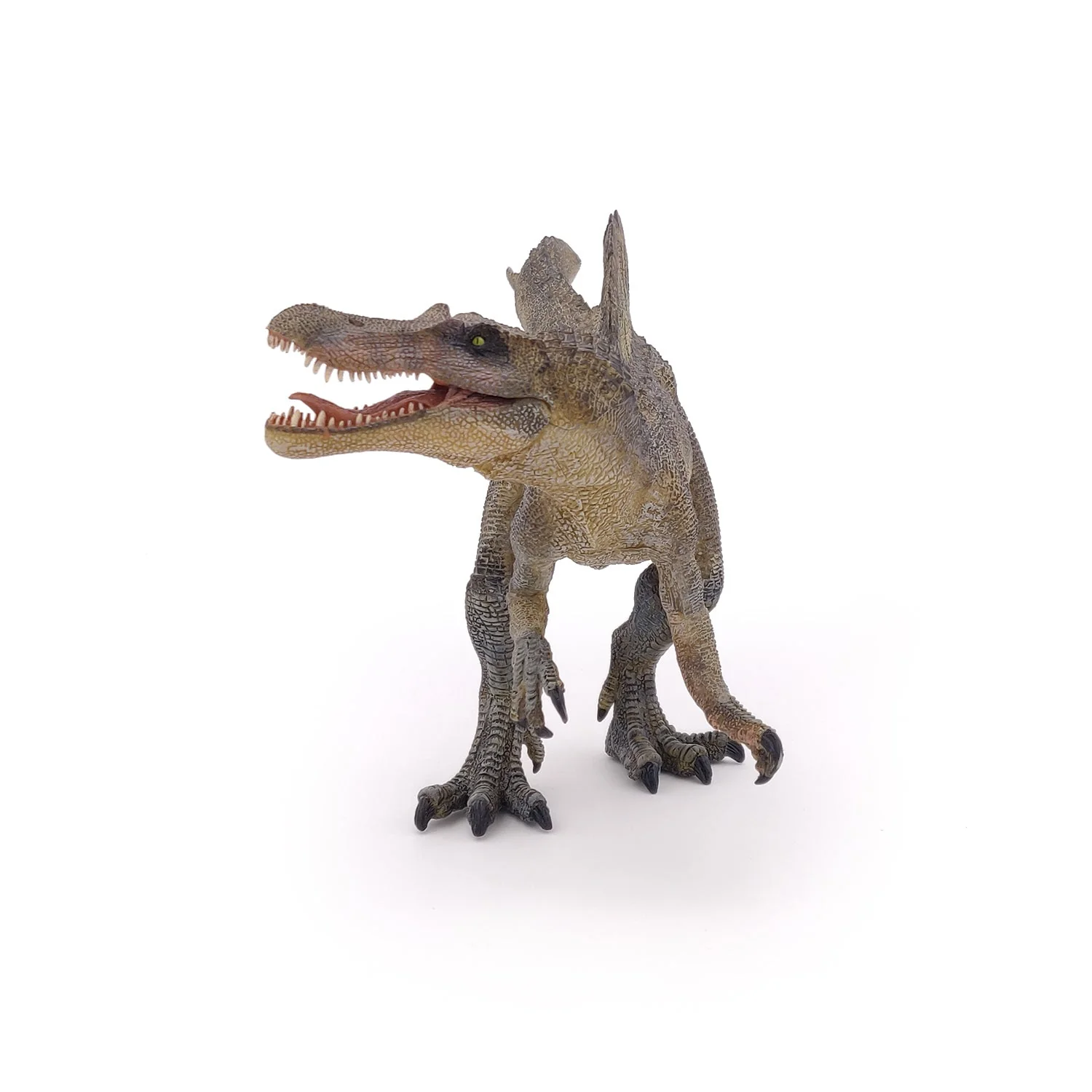 Spinosaurus - Image 6