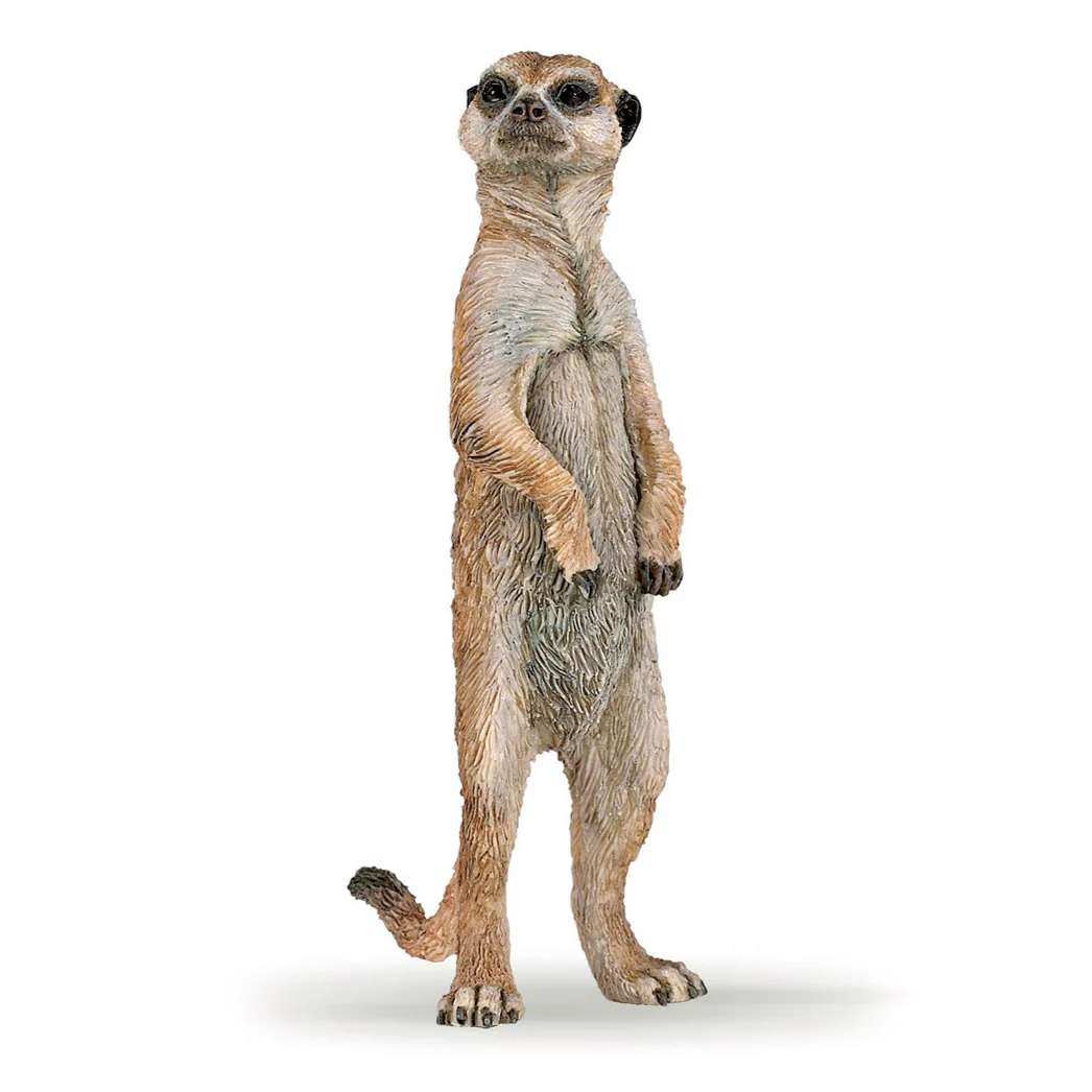 Staande Meerkat