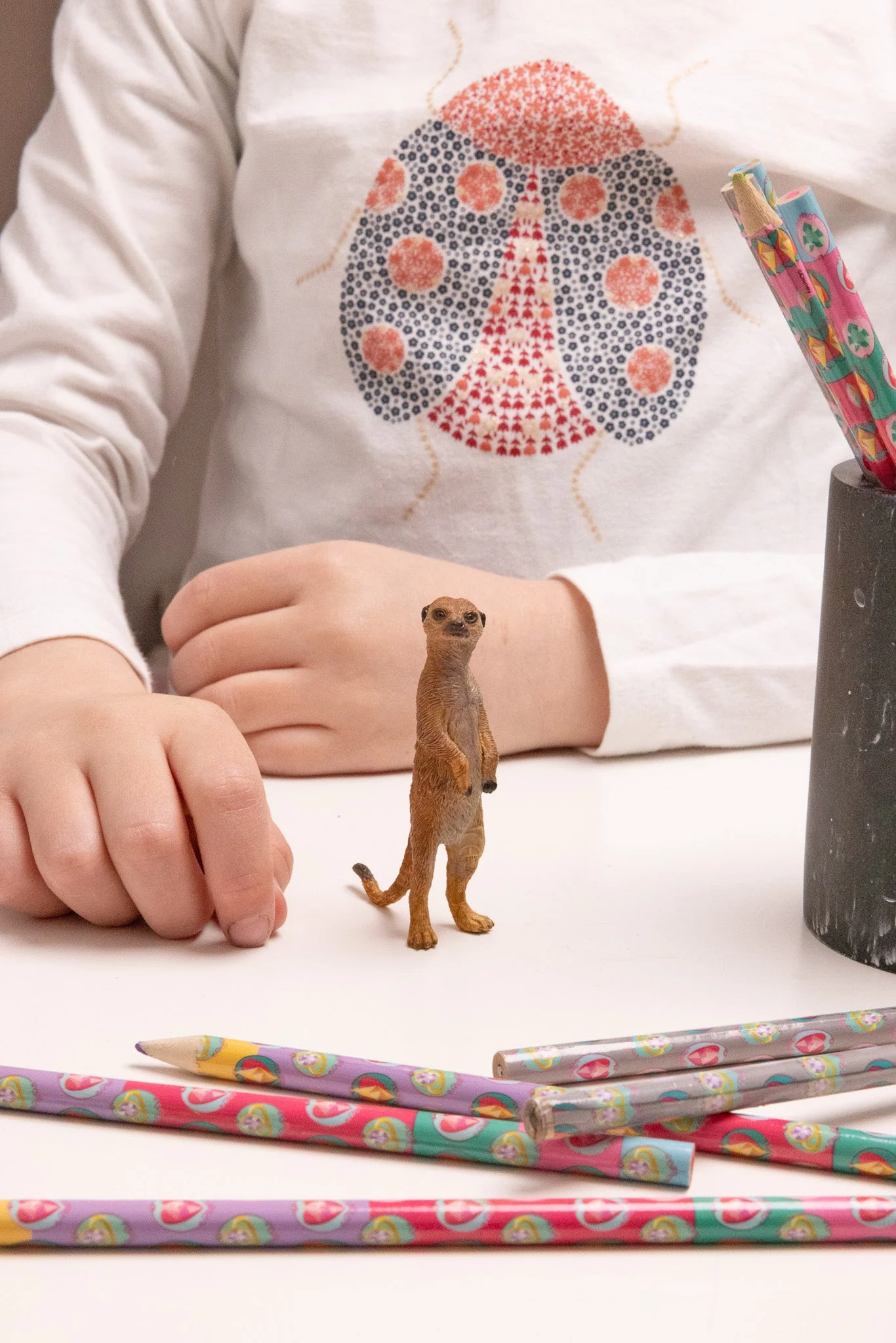 Staande Meerkat - Image 2