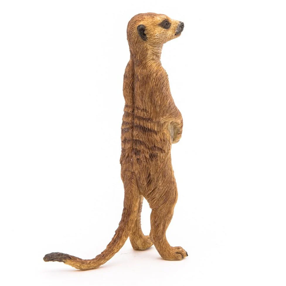 Staande Meerkat - Image 3