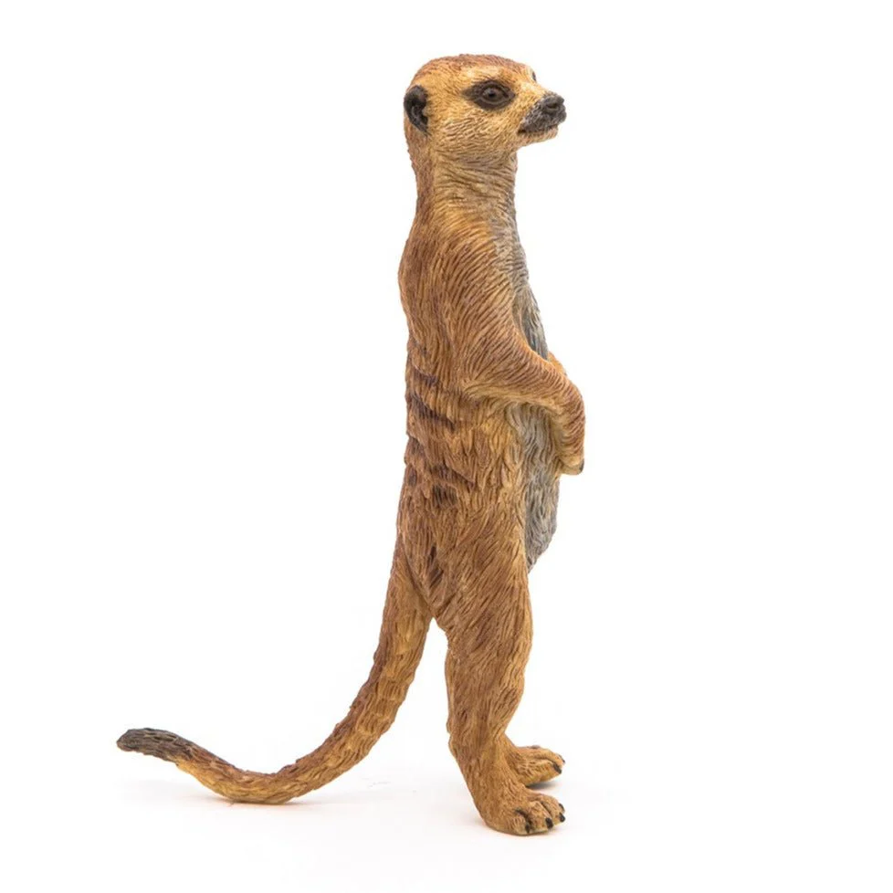 Staande Meerkat - Image 4