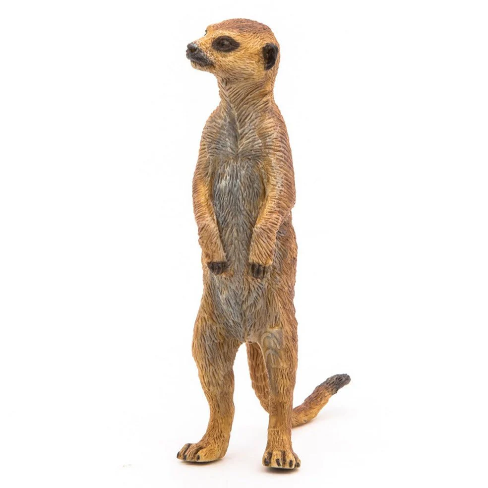 Staande Meerkat - Image 7