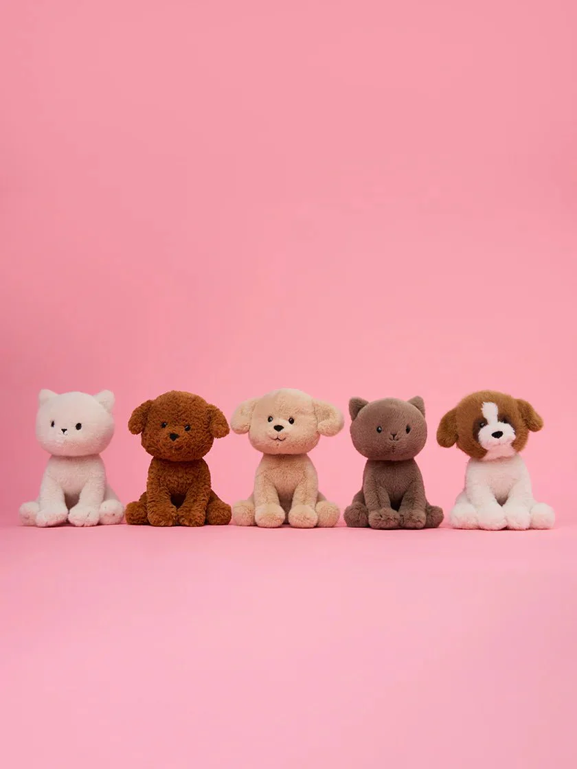 Knuffel Hond Stacy the Labradoodle in giftbox - 18 cm - Image 4
