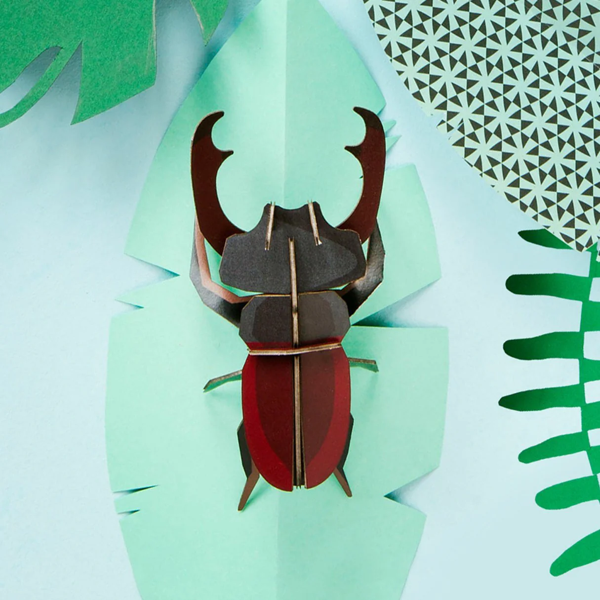 Stag Beetle - Image 3