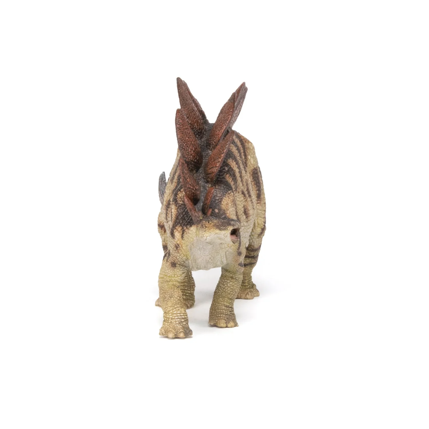 Stegosaurus - Image 5