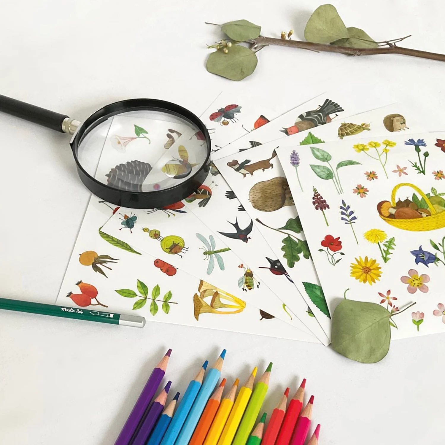 Kleurboek met 148 stickers Le Botaniste Le jardin du Moulin - Image 4
