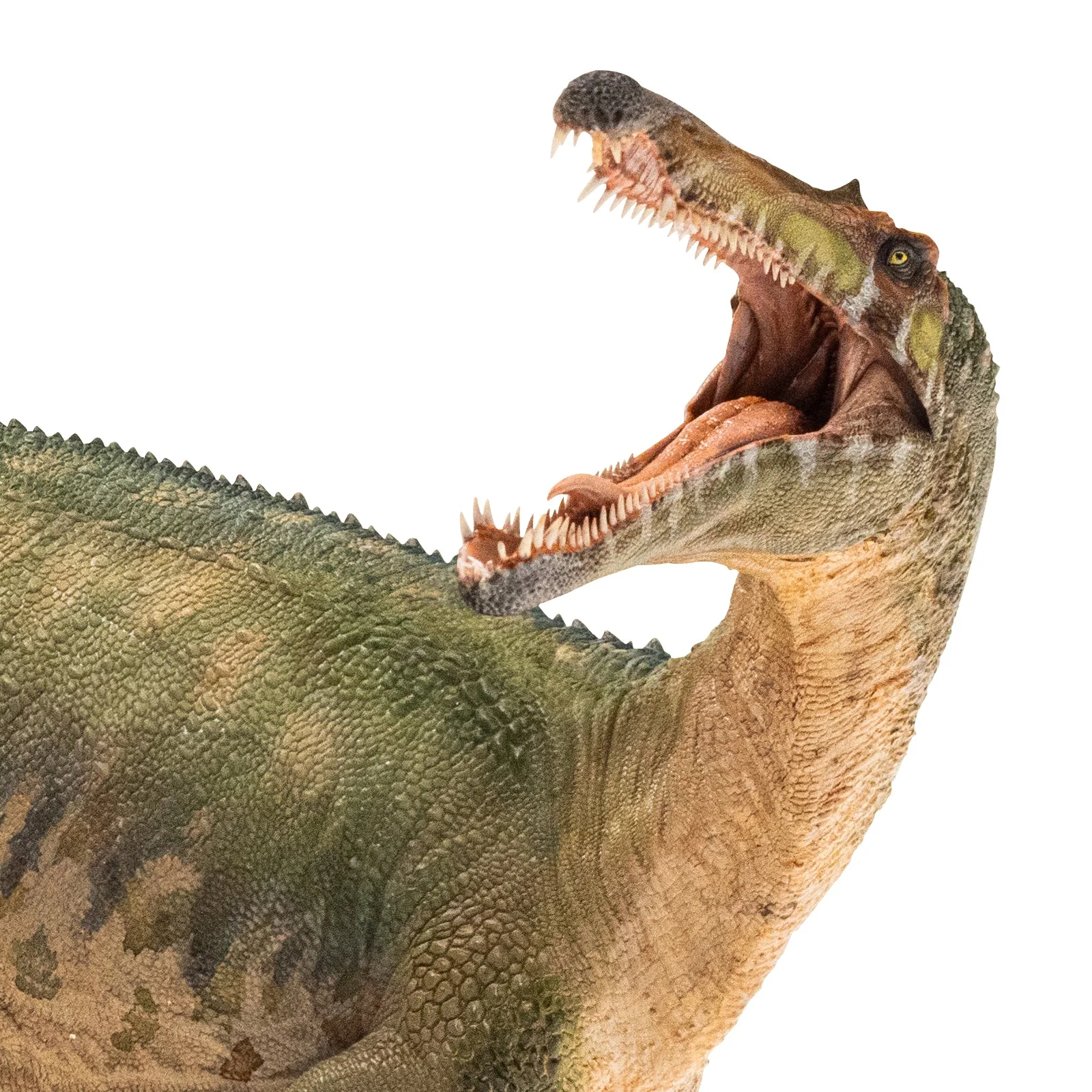 Suchomimus - Image 2