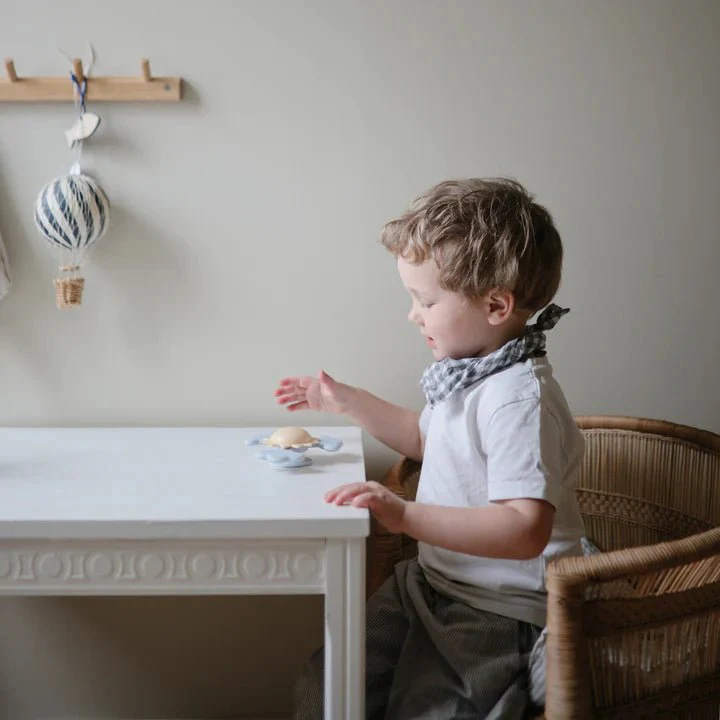 Spinner met zuignap - Suction Spinner Toy Sunshine - Image 3
