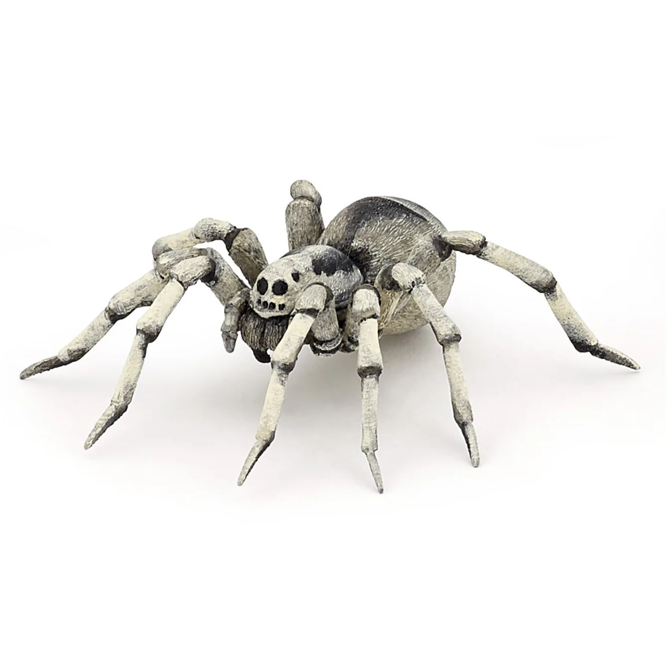 Tarantula