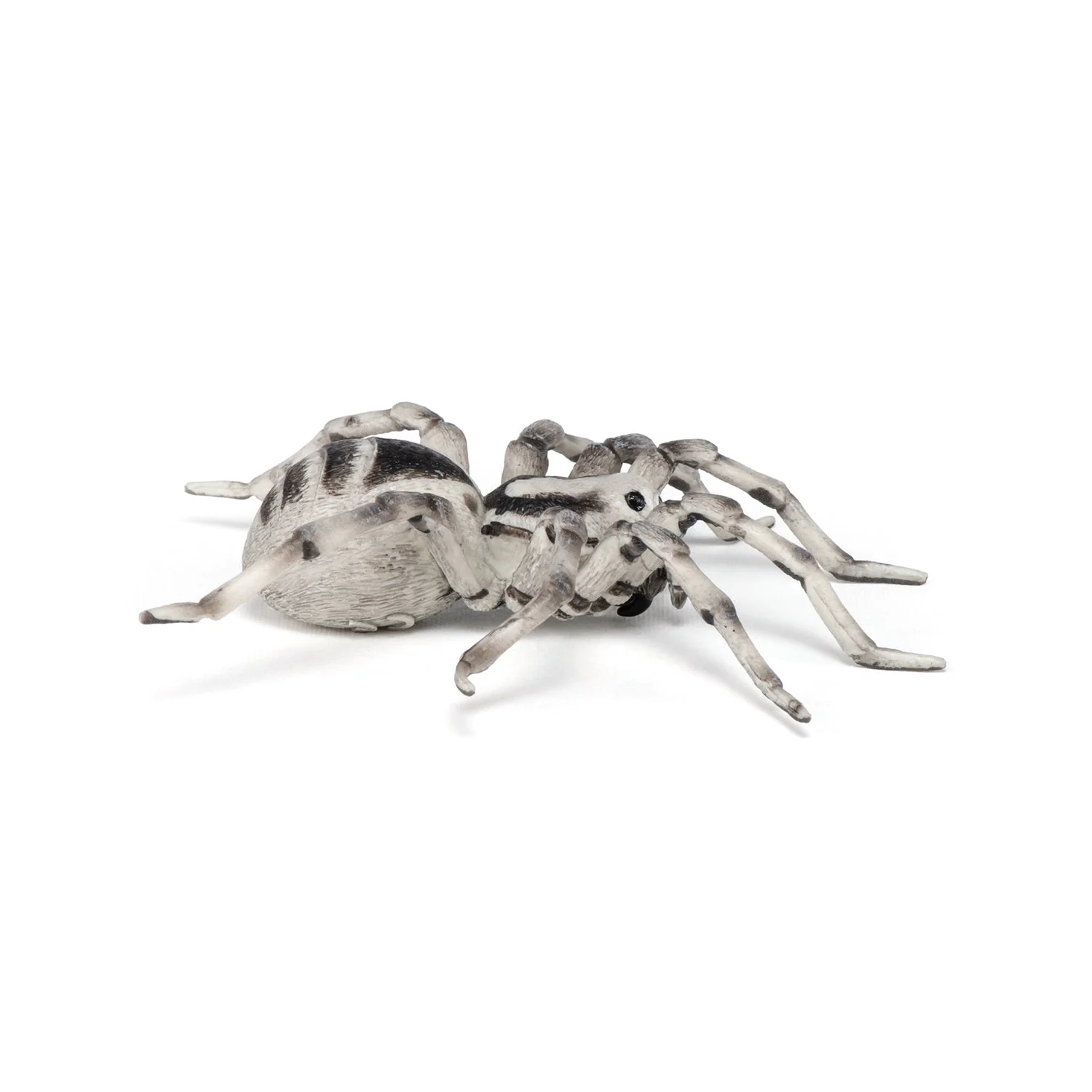 Tarantula - Image 2