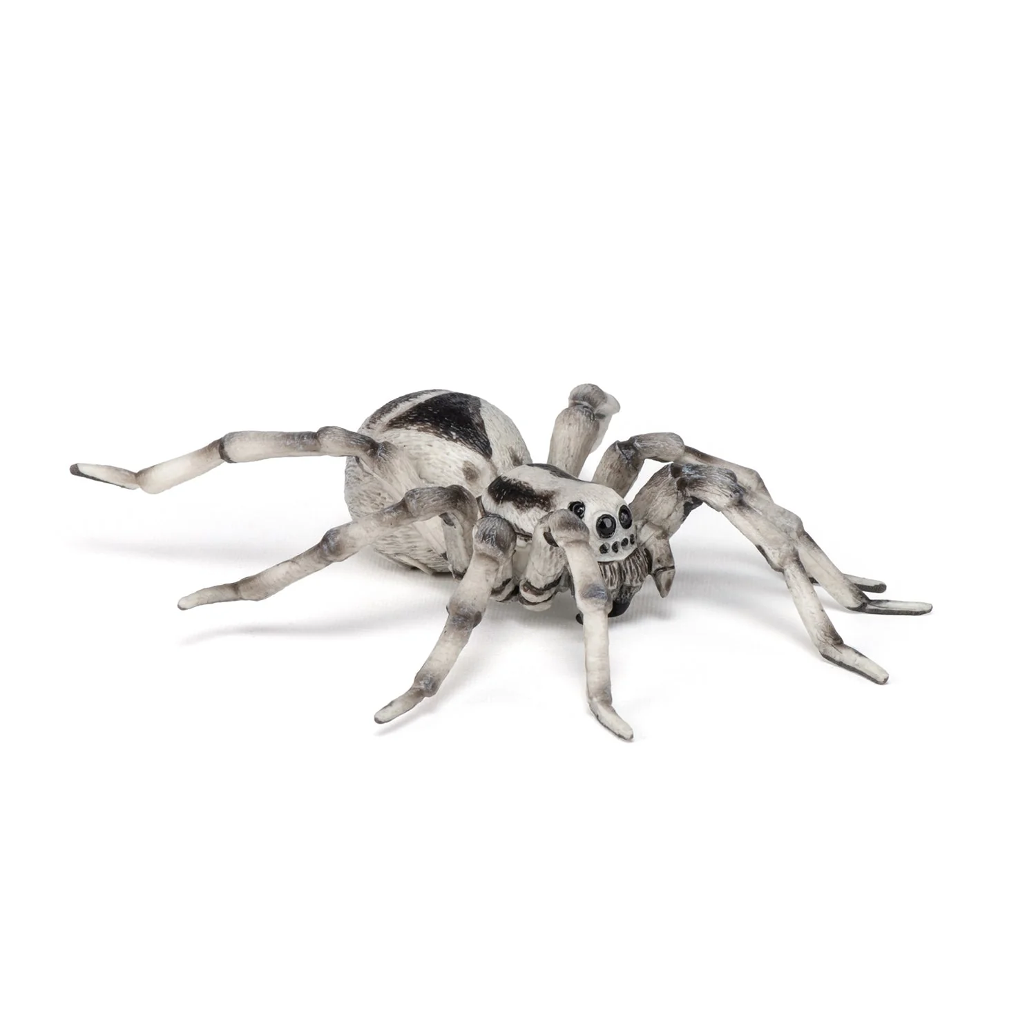 Tarantula - Image 3