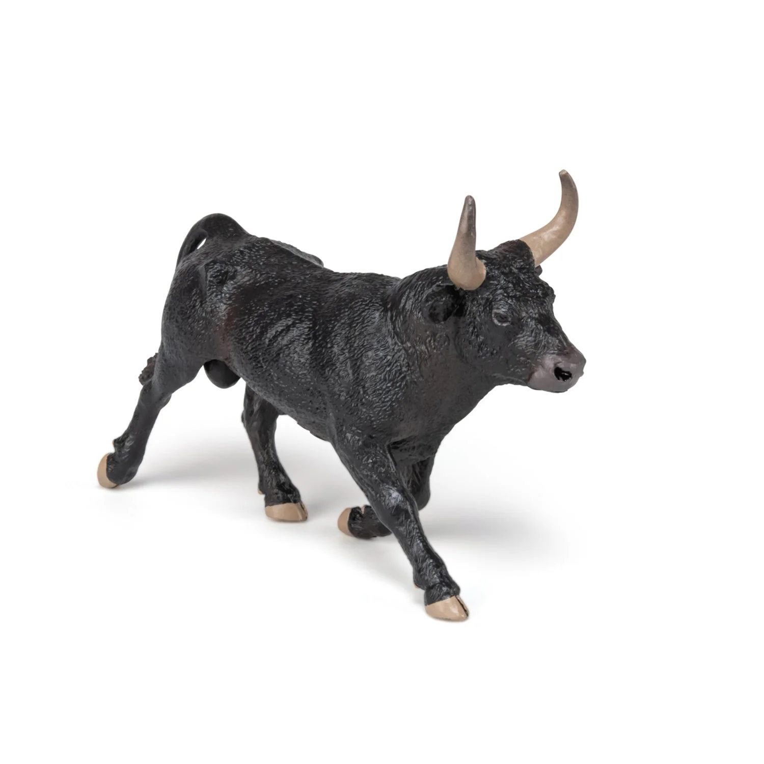 Camargue stier - Image 4