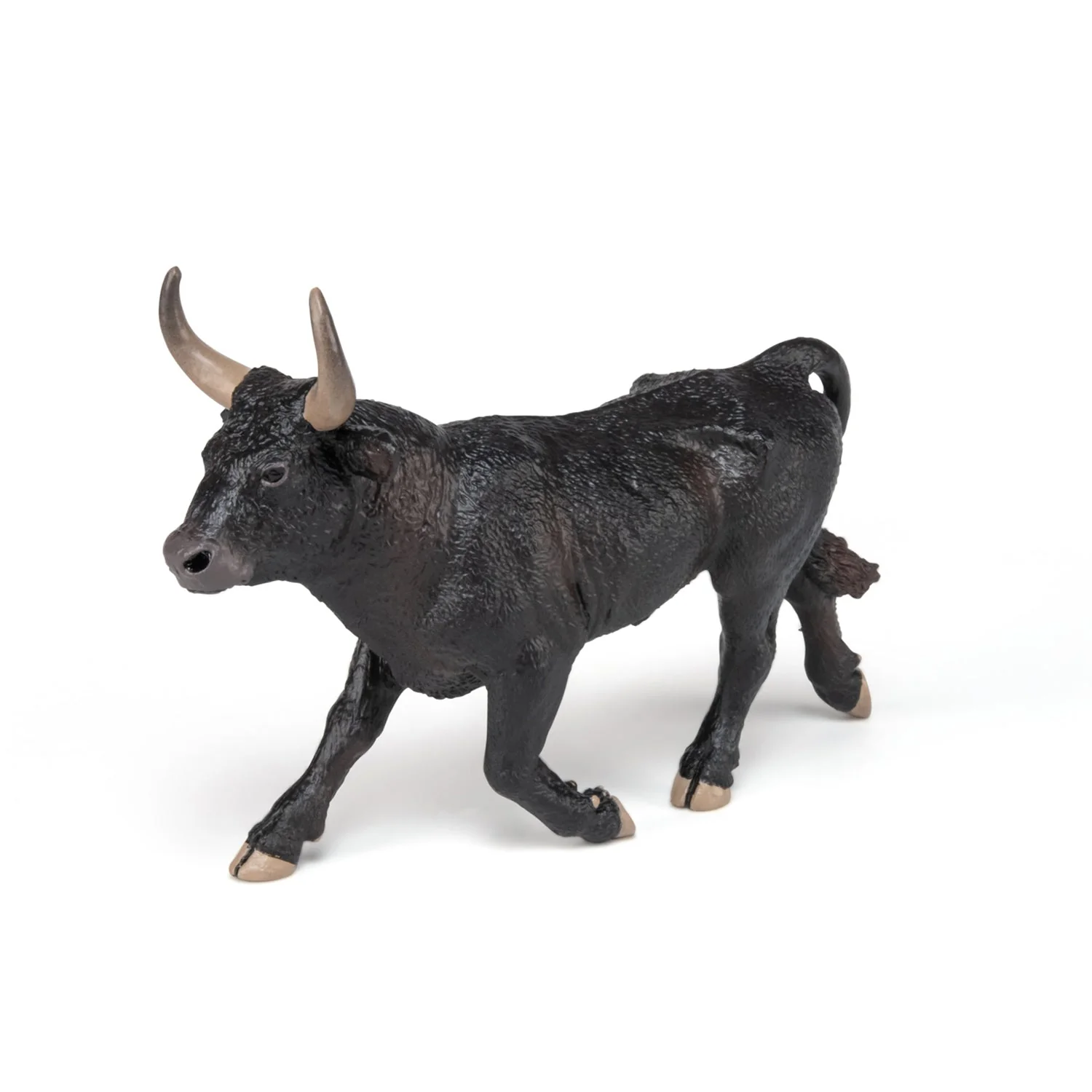 Camargue stier - Image 5