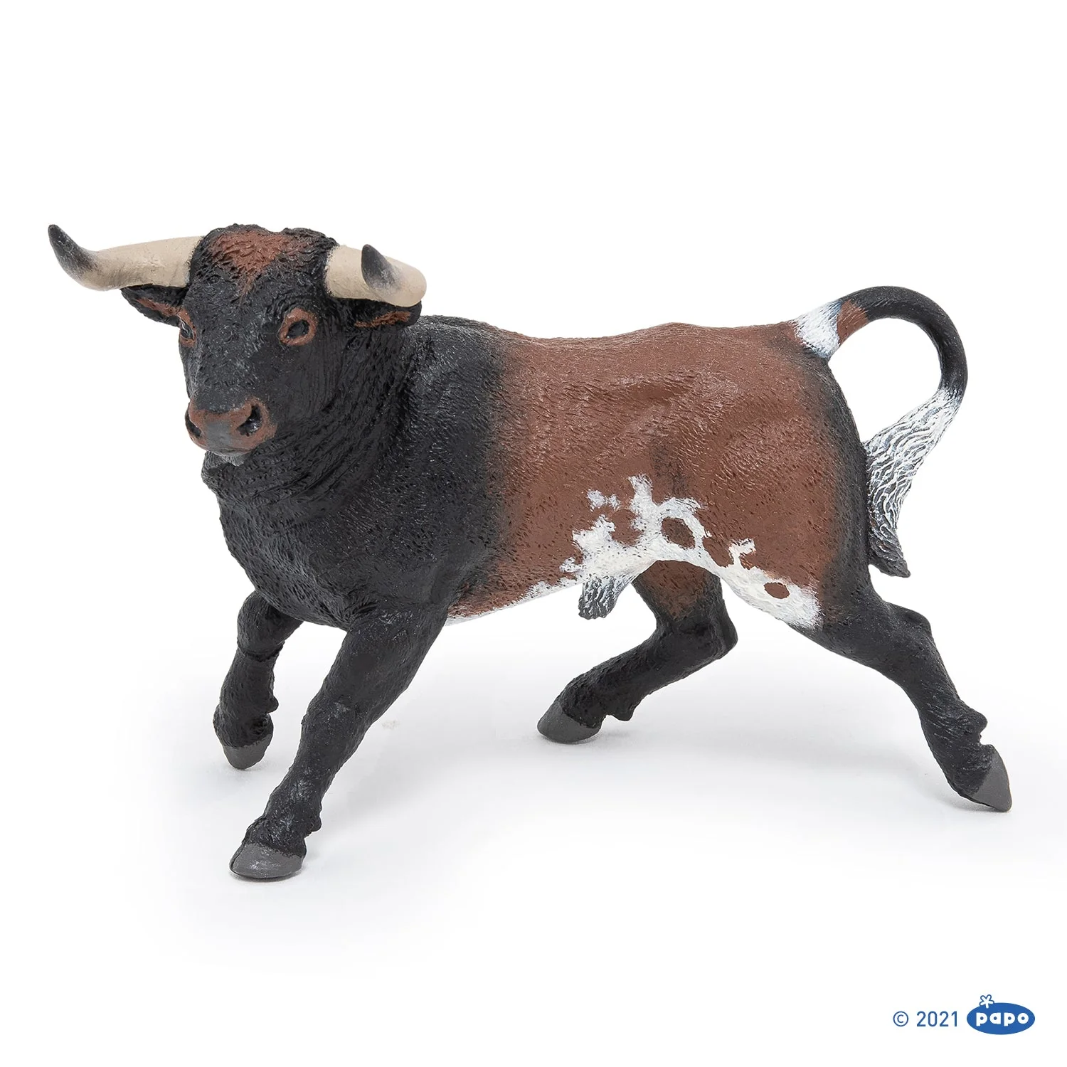 Spaanse stier - Image 2