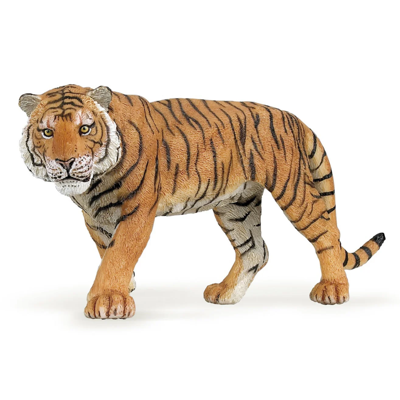 Tijger