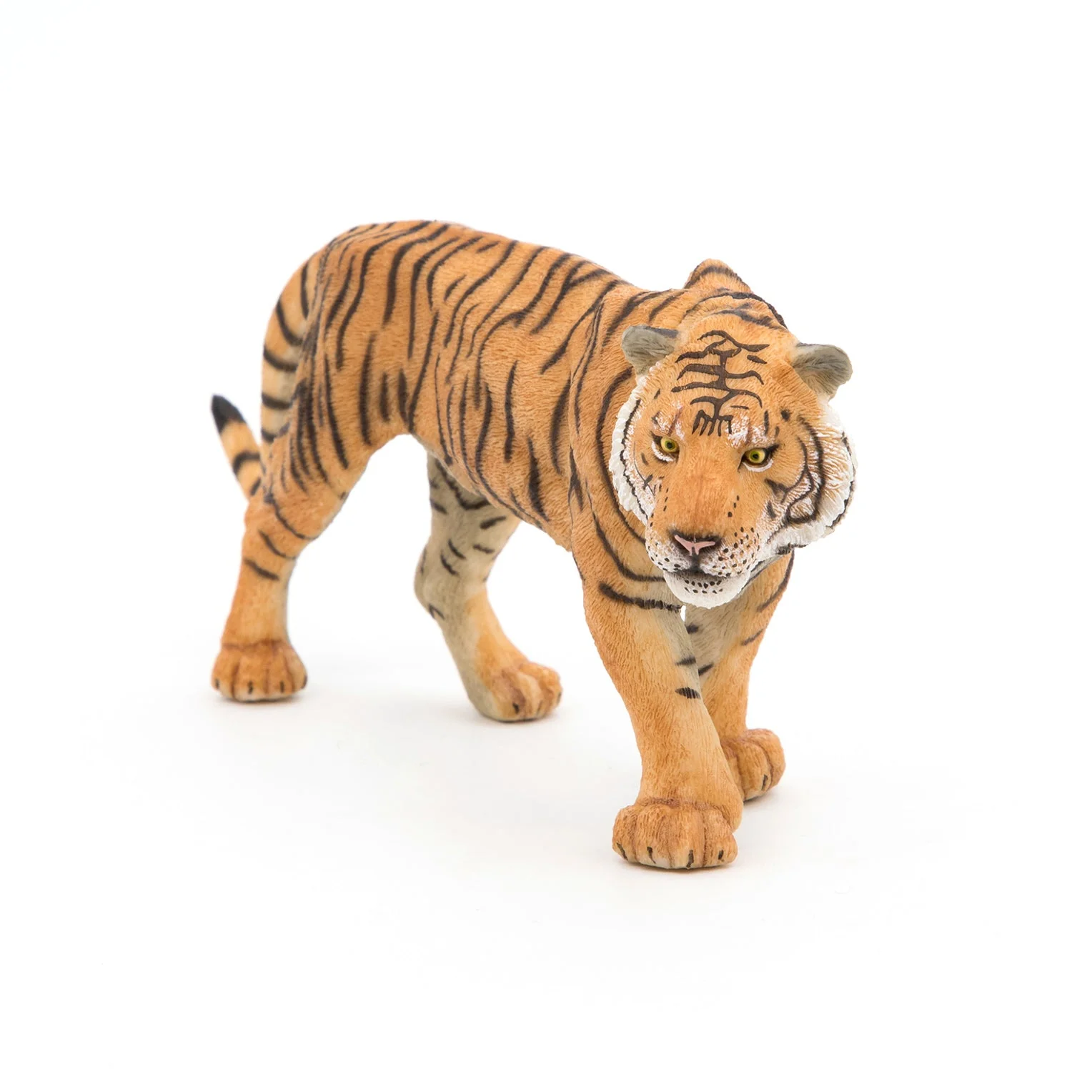 Tijger - Image 3