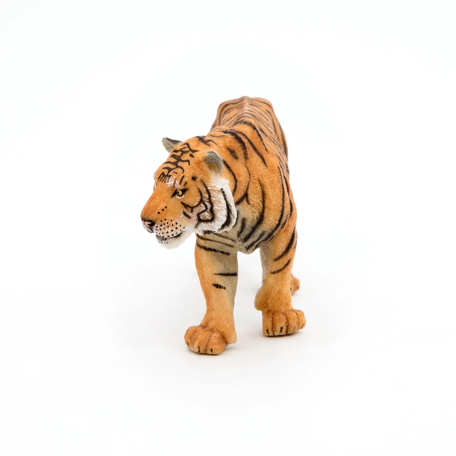 Tijger - Image 4