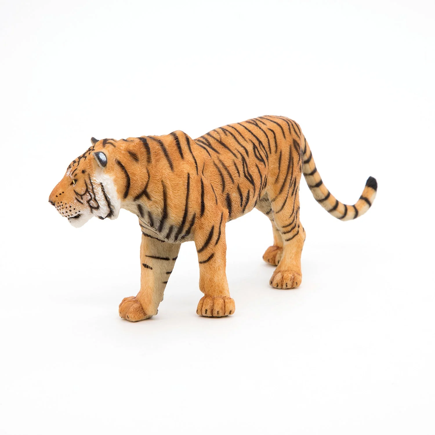 Tijger - Image 5