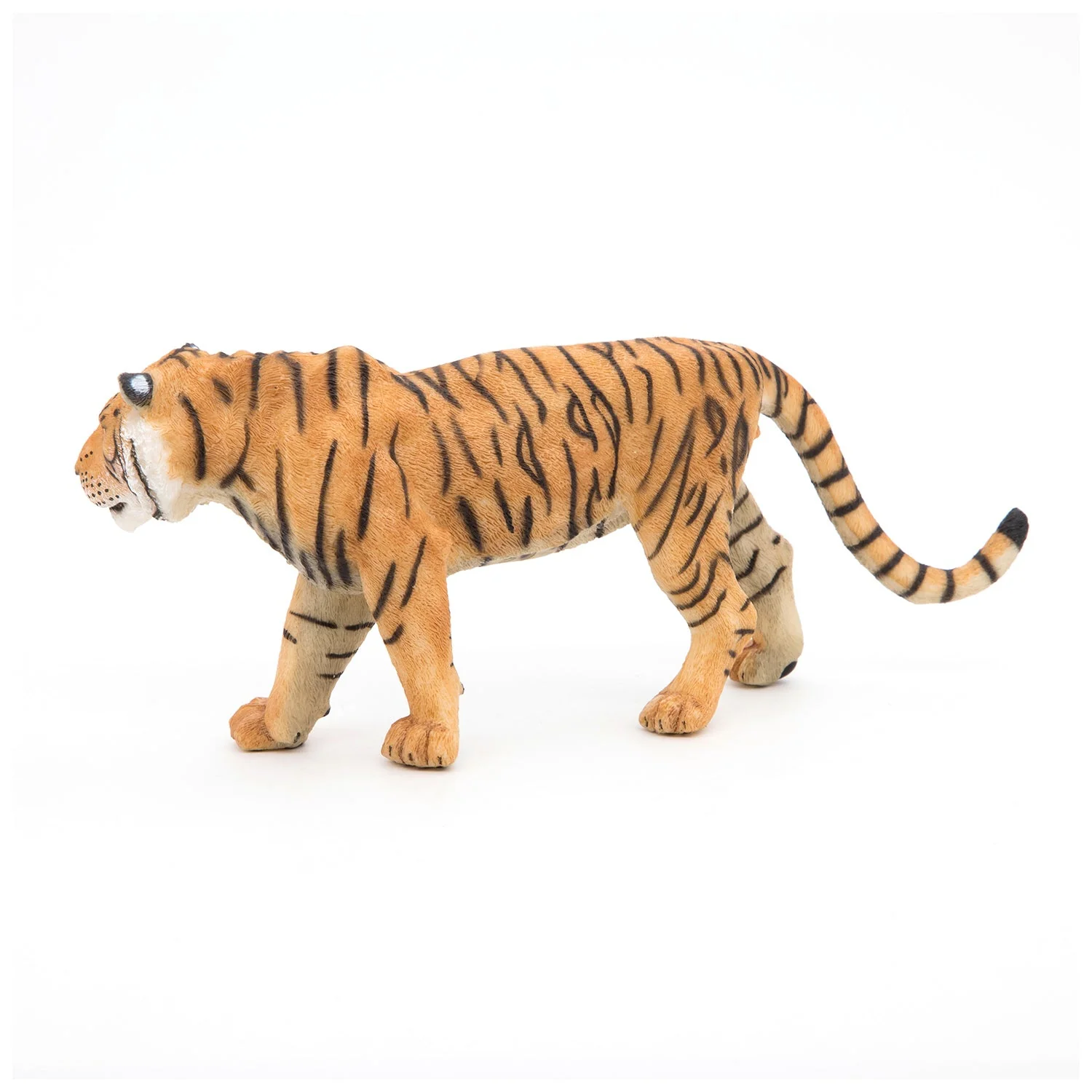 Tijger - Image 6